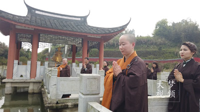 【空中新蕉城】邂逅龙兴寺