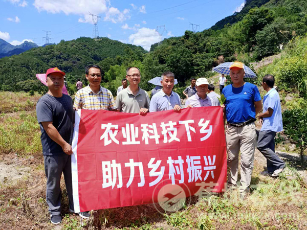 洪口:农业技术下乡 助力乡村振兴