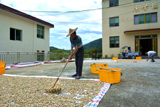 赤溪黄田：花生丰收季 农户笑开颜