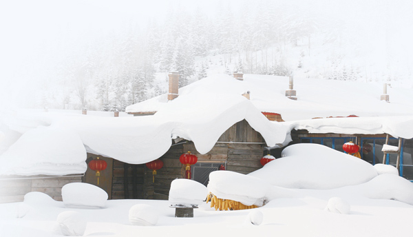 阮兆菁雪乡归来还是客