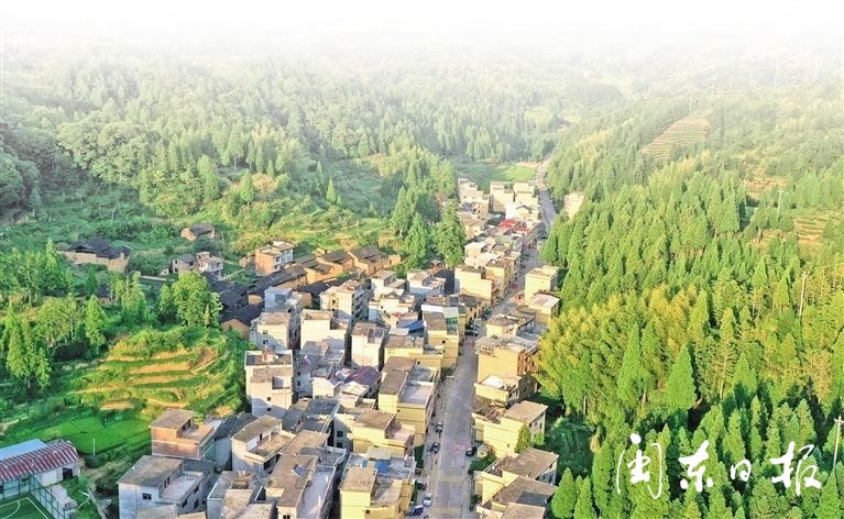 走进周宁县泗桥乡坂坑村,一排排,一栋栋民居小楼错落有致,平坦干净的