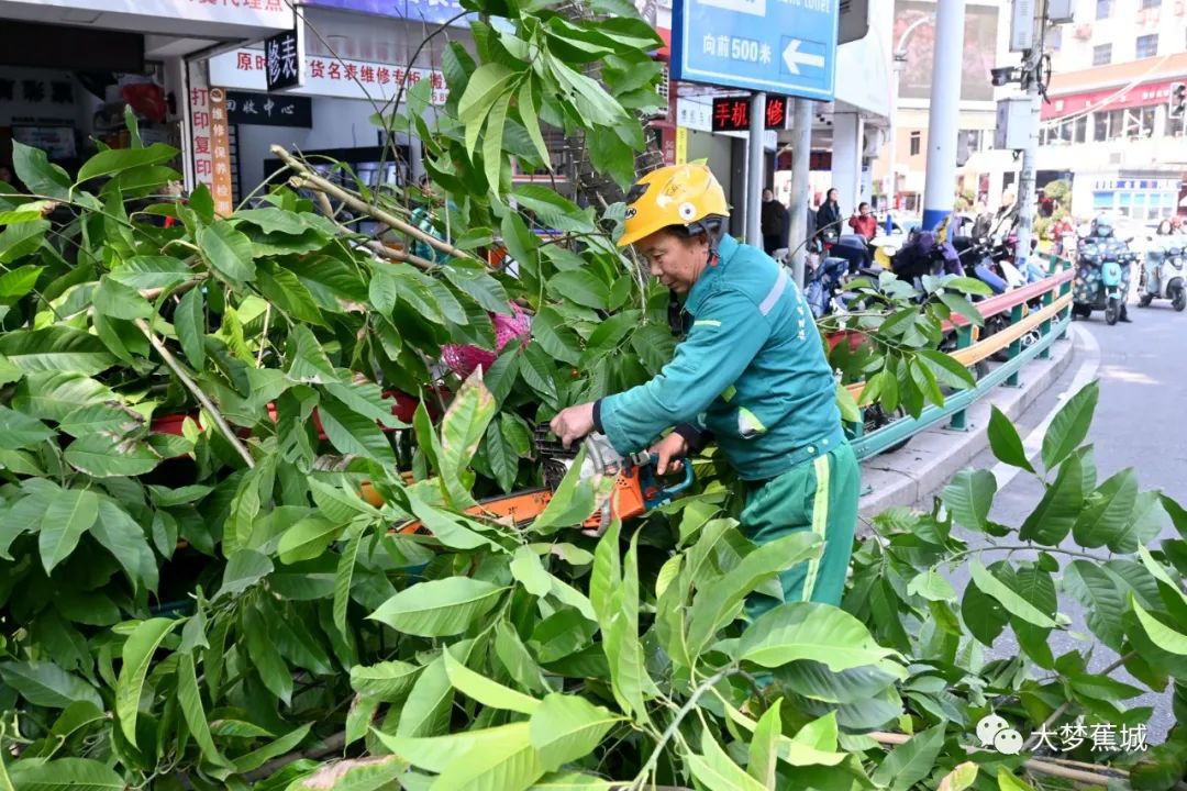 超模孙菲菲宣布生子喜讯 晒宝宝满月照萌态十足