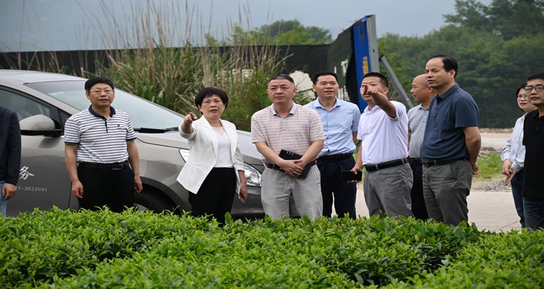 建言献策为民生——政协第十一届宁德市蕉城区委员会第三次会议优秀提案（摘要）